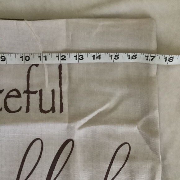 NWOT Cream & Coco Pillow Cover - Picture 7 of 10